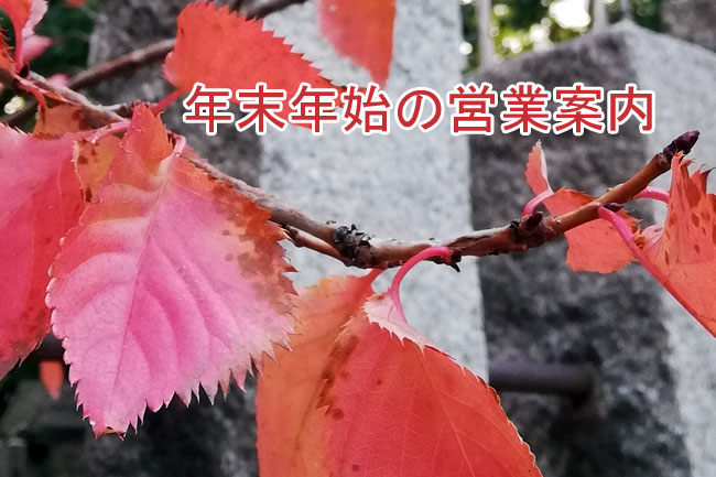 桜の紅葉