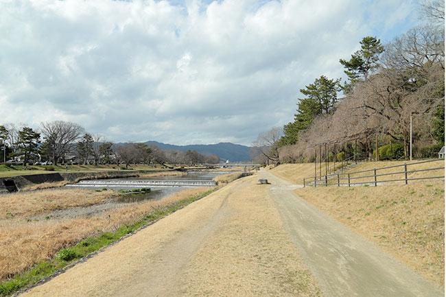 京都植物園西の賀茂川