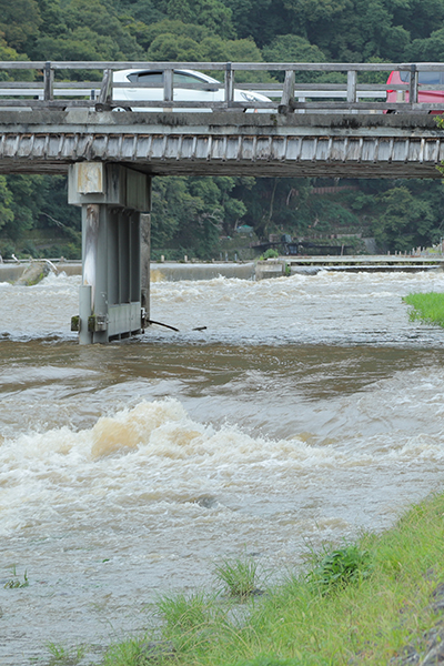 渡月橋の下を流れる桂川は濁流