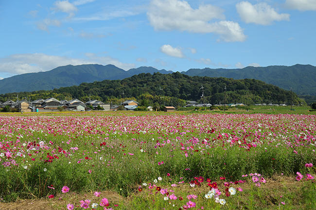 香具山（かぐやま）