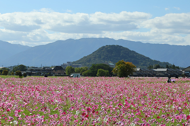 畝傍山（うねびやま）