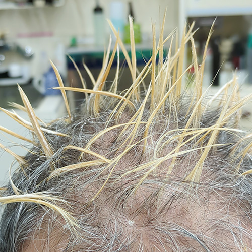 白髪交じりの髪にブリーチ。メッシュキャップ