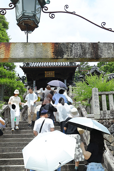 楊谷寺 あじさい 参拝者 行列 山門 2026年6月