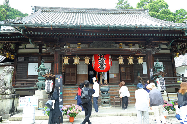 楊谷寺 本堂 柳谷観音 境内 京都