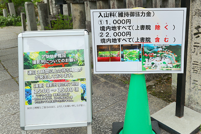 楊谷寺 アジサイ階段 撮影列 注意書き 拝観料