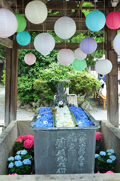楊谷寺 花手水 稲荷 ランタン あじさい