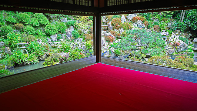 楊谷寺 書院 赤い毛氈 庭園 石組み
