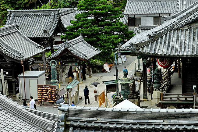 楊谷寺 境内 俯瞰 瓦屋根 京都 西山