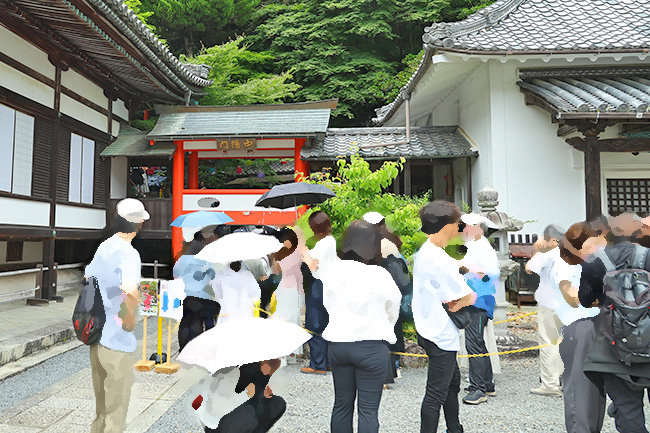 楊谷寺 アジサイ階段 行列 稲荷 撮影待ち