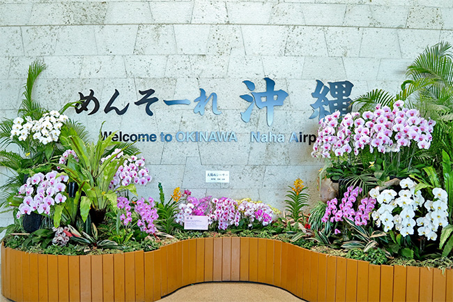 沖縄那覇空港